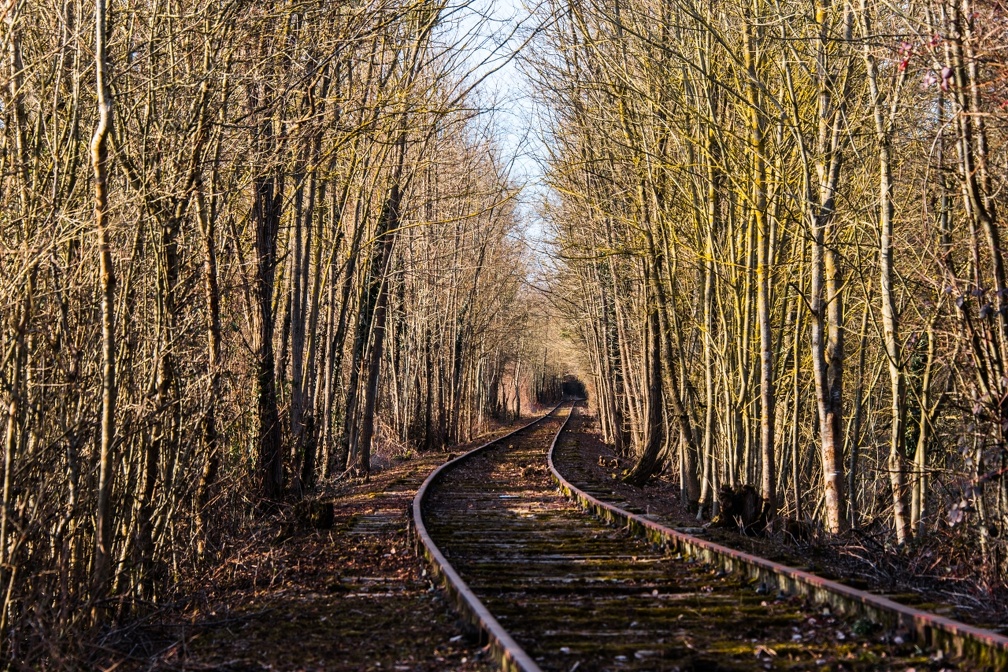 Abandoned trackage (3141 visites) Landscape | Burgundy
