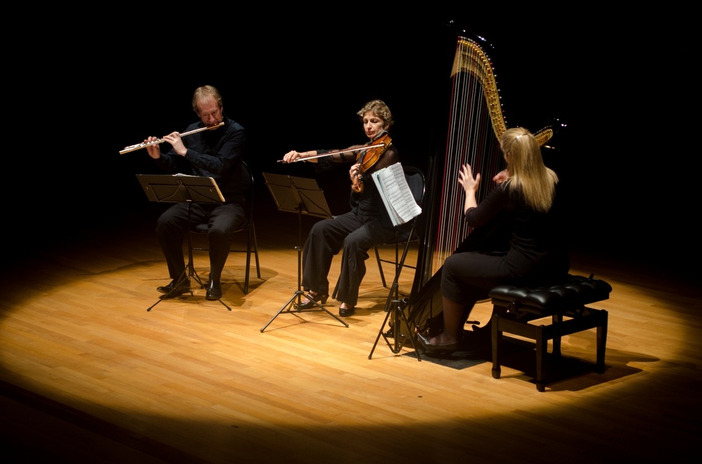 DSC 8282 (7524 visites) Trio Nymphéa |
flûte, alto & harpe |
Jean François Simoine, flûte |
Emmanuelle Touly, alto |
...