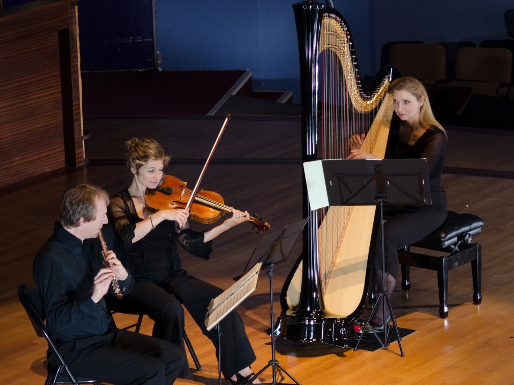 DSC 8374 (5010 visites) Trio Nymphéa |
flûte, alto & harpe |
Jean François Simoine, flûte |
Emmanuelle Touly, alto |
...