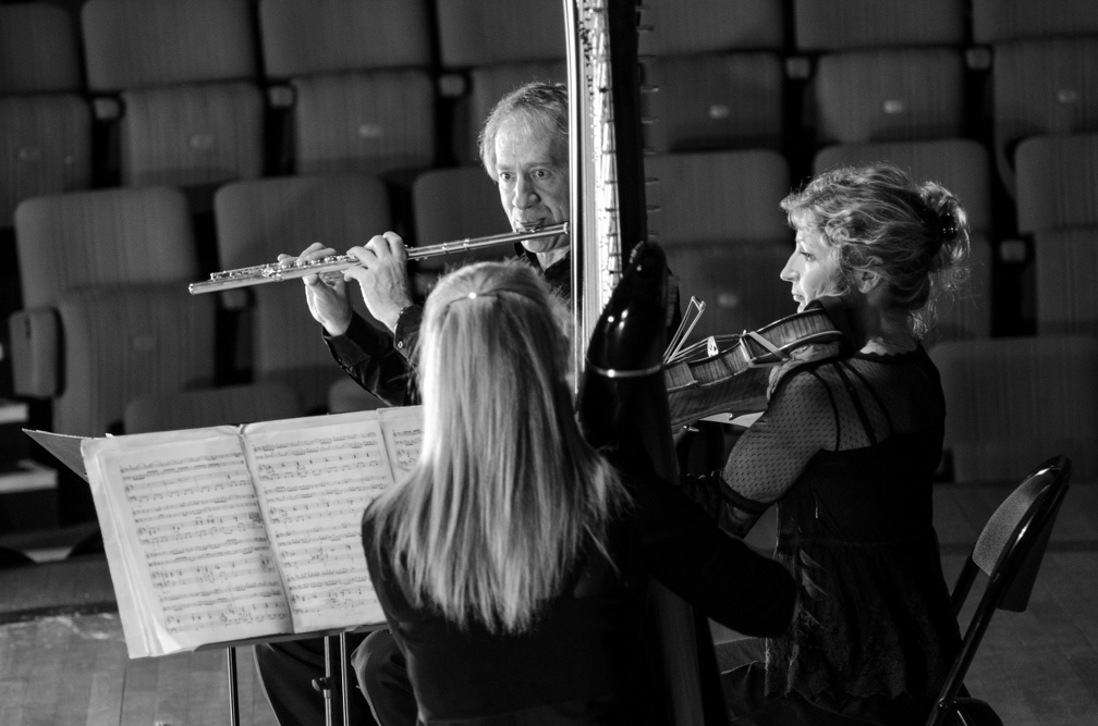 DSC 8385 (5209 visites) Trio Nymphéa |
flûte, alto & harpe |
Jean François Simoine, flûte |
Emmanuelle Touly, alto |
...