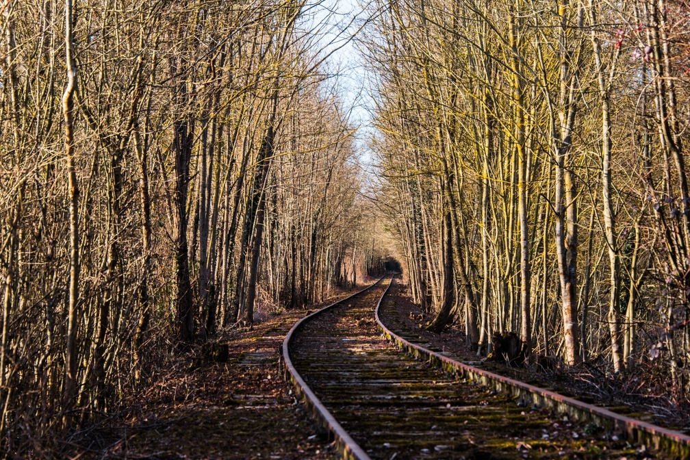 Abandoned trackage (4108 visites) Landscape | Burgundy