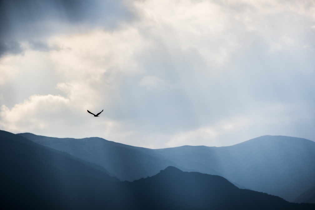 DSC 1114 (5385 visites)