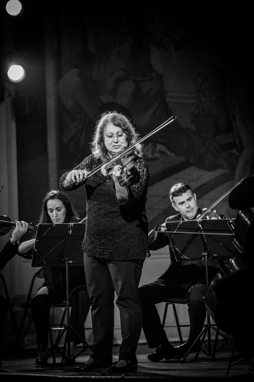 DSC 6522 (5364 visites)