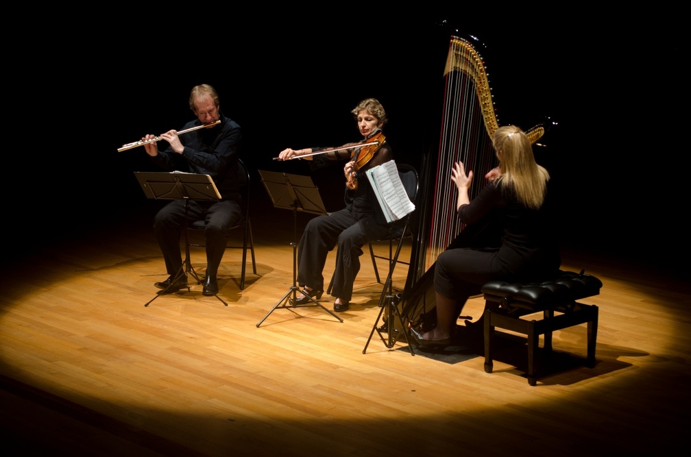 DSC 8282 (9453 visites) Trio Nymphéa |
flûte, alto & harpe |
Jean François Simoine, flûte |
Emmanuelle Touly, alto |
...