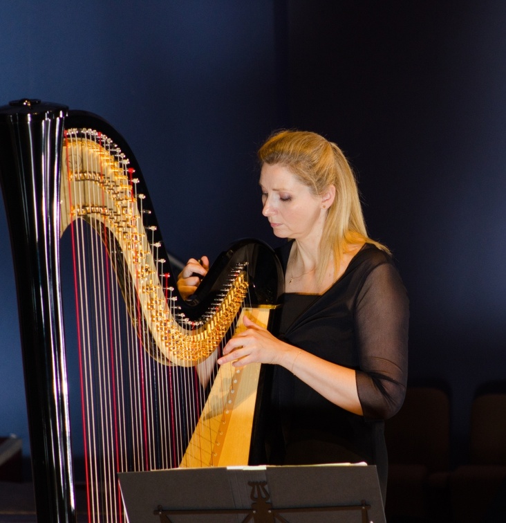 DSC 8297 (5432 visites) Béatrice Guillermin, Harpe