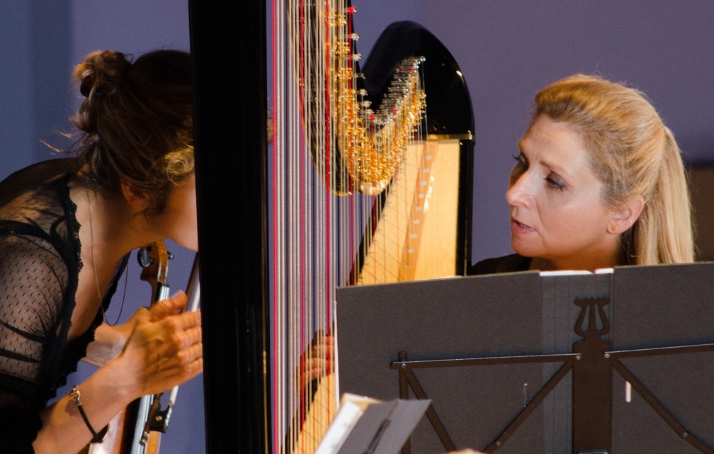 DSC 8333 (9174 visites) Béatrice Guillermin, Harpe