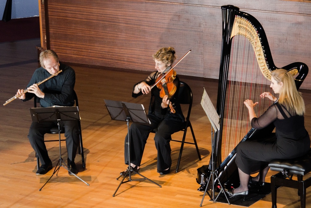 DSC 8378 (5120 visites) Trio Nymphéa |
flûte, alto & harpe |
Jean François Simoine, flûte |
Emmanuelle Touly, alto |
...