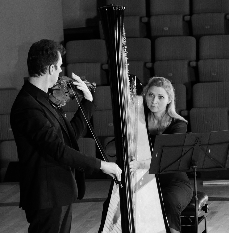 DSC 8460 (7419 visites) Duo Perpetuo | 
harpe & violon | 
Béatrice Guillermin, harpe |  
Frédéric Moreau, violon