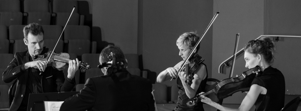 DSC 8610 (6384 visites) Quatuor Goldoni |
Frédéric Moreau, violon |
Marion Delorme, violon |
Vanessa Menneret, alto |
...