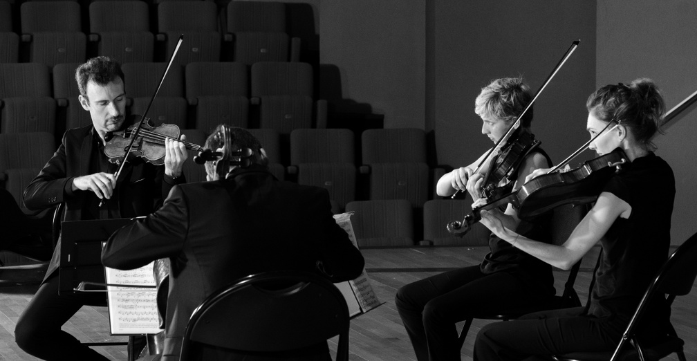 DSC 8649 (4476 visites) Quatuor Goldoni |
Frédéric Moreau, violon |
Marion Delorme, violon |
Vanessa Menneret, alto |
...