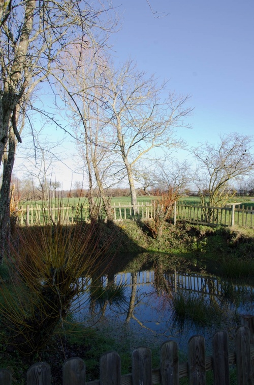 DSC 0555 (6610 visites) Landscape | Reflets