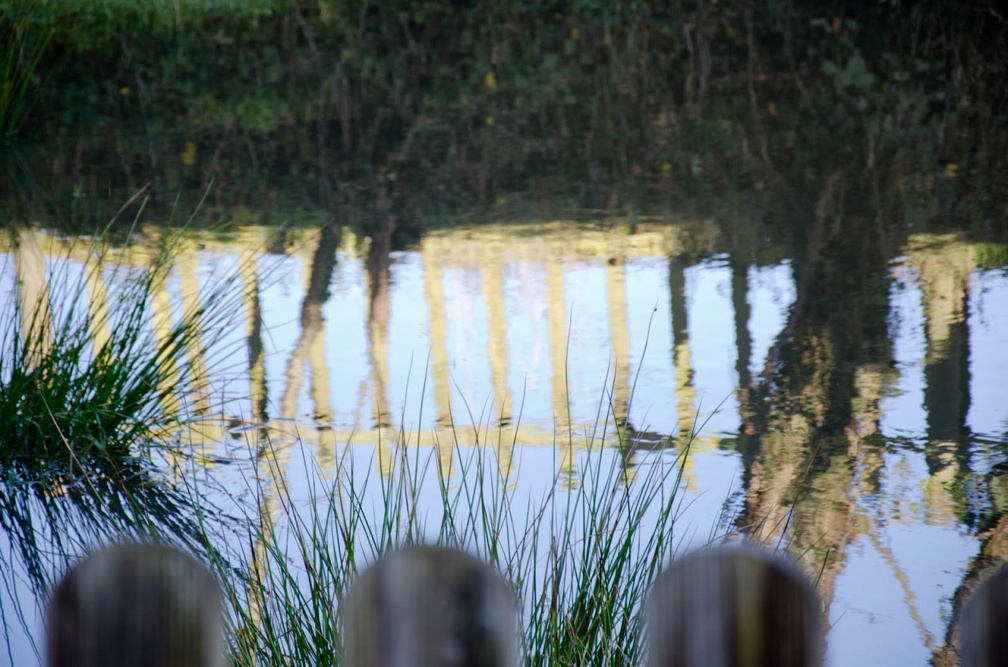 DSC 0559 (7949 visites) Landscape | Reflets