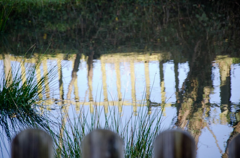 DSC 0559 (6169 visites) Landscape | Reflets